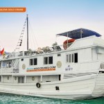 Alova Gold Cruises on Halong bay